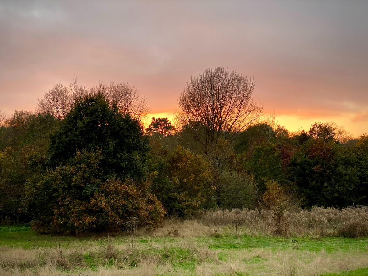 All these images were taken at sites I use across the South Birmingham Area